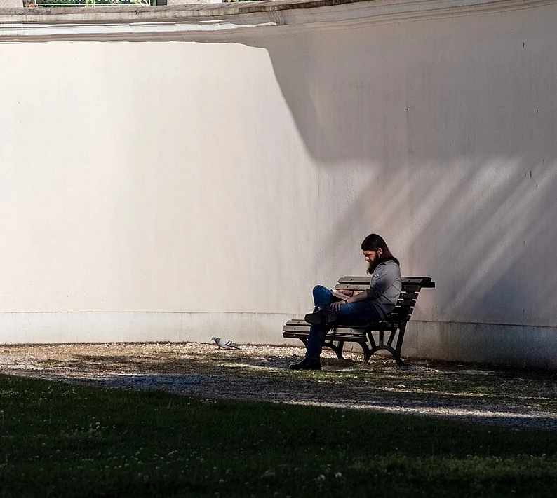 A man with a beard sits alone on a park bench in the shade, reading a book